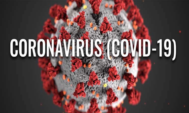 Coronavirus | experts said that the third wave of corona is expected in the state in september