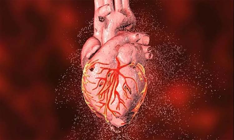 World Heart Day 2021 | world heart day 2021 9 important symptoms of heart disease heart attack