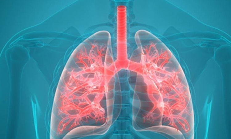 Lung health | lung health 5 warning signs you should not ignore says nutritionist