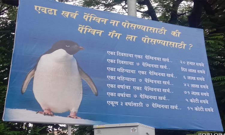 Mumbai MNS | expenses for penguins in mumbai mns slams maharashtra government