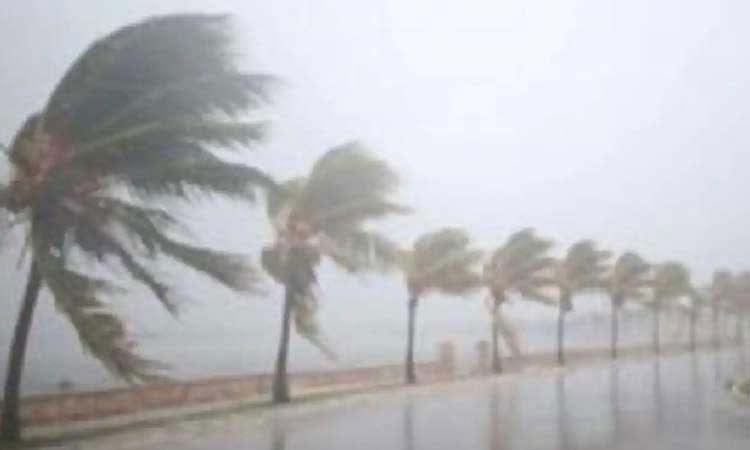 Gulab Cyclone | weather alerts today cyclone gulab update video imd alerts to maharashtra