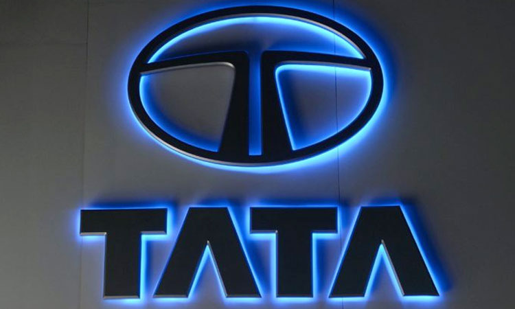 Multibagger Stock multibagger stock tcs q4 pat rises 9926 cr recommends final dividend of rs 22 per share