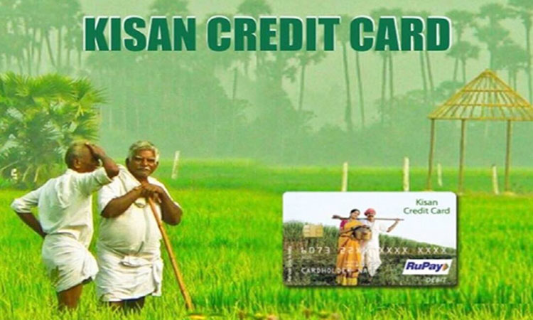 Kisan Credit Card | kisan credit card wants to be made from sbi you can take loan up to three lakhs know complete process