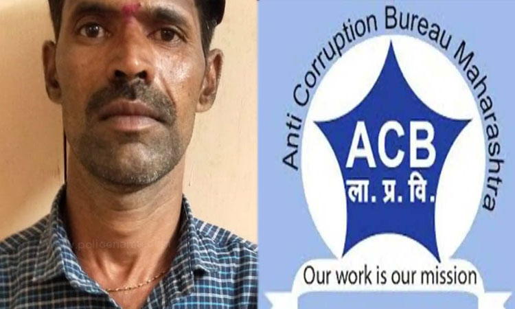 Kolhapur Anti Corruption | anti-corruption police arrest Junior Engineer Sainath Namdev Sangar for demanding a bribe for electricity connection