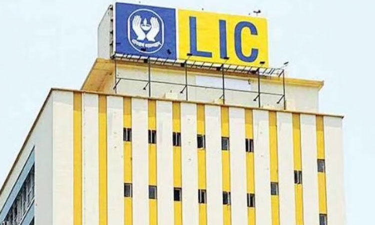 LIC Mobile Notification | LIC policyholders should update details in this manner, otherwise ..