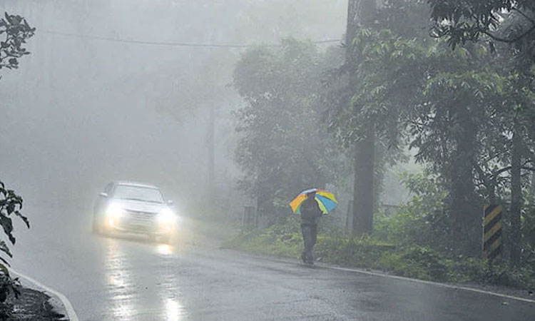 maharashtra rains | weather forecast of maharashtra heavy rainfall in pune now imd alert rain in some parts of maharashtra