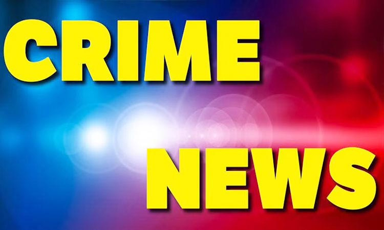 Pune Crime | ambevane attempted burglary district bank accused were arrested