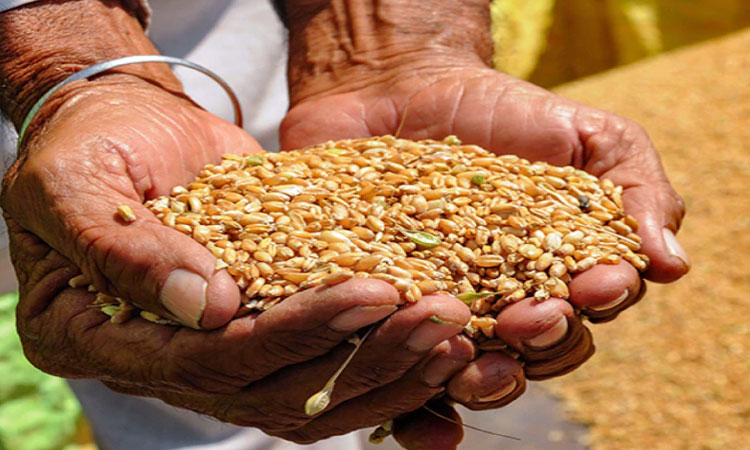 Ration | ration cards holders will get free ration till march 2022 along with pulses oil and salt know govt new plan