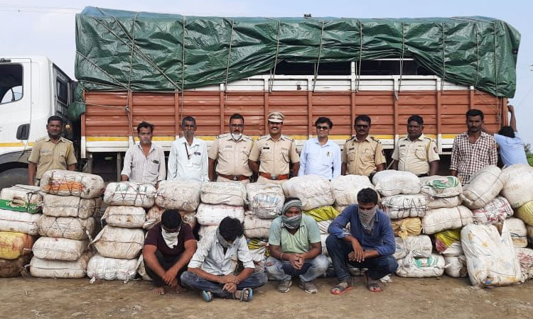 Risod police | 11 quintals of cannabis worth Rs 3.45 crore seized, 4 arrested