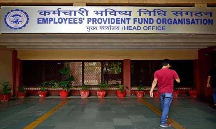 EPFO-PPO | epfo ppo number get it with bank account and pf number check know how
