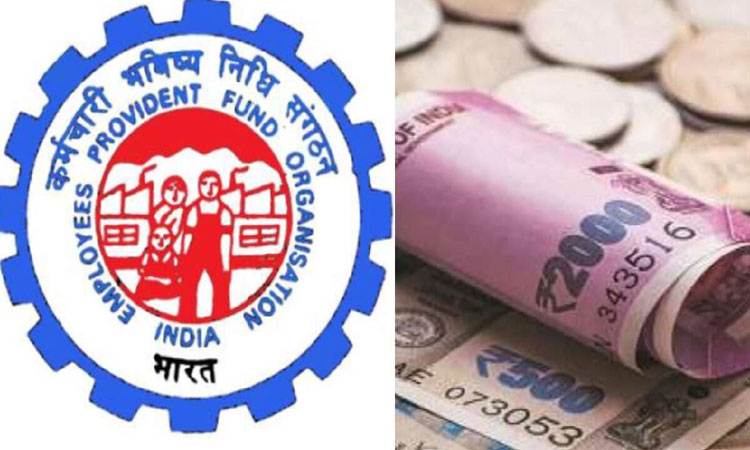 EPFO | epfo pension scheme pension will be available every month for life apply online in the pension scheme of employees provident fund