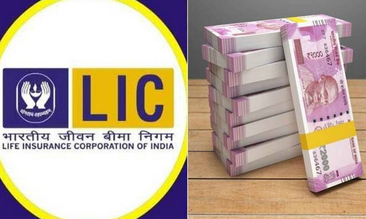 Aadhaar Shila Policy | lic policy gives financial strength to women benefits of lakhs are available in less investment