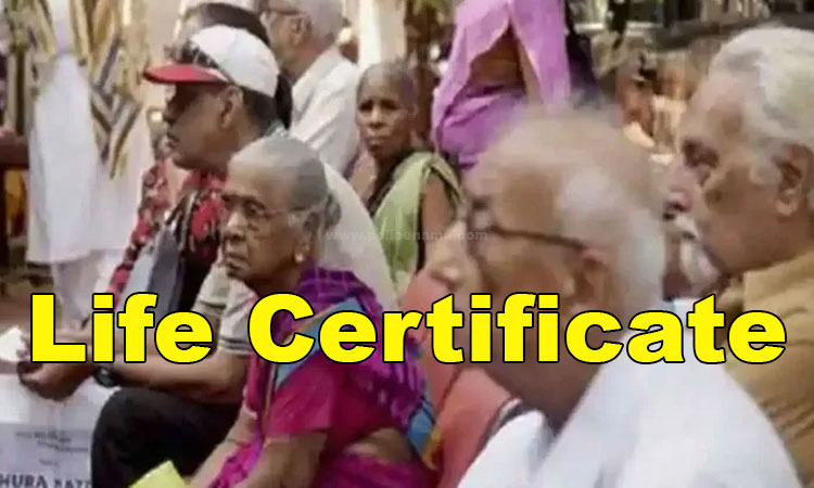 Life Certificate | pensioners can submit life certificate through video calls sbi video life certificate service