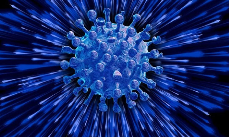 Omicron Variant | omicron covid 19 new variant coronavirus who warns very high risk