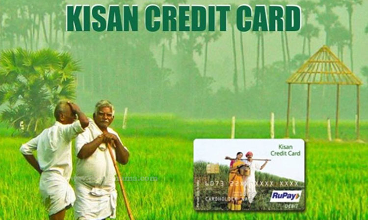 Kisan Credit Card Loan Scheme farmers will get credit cards from the central government for crop loans