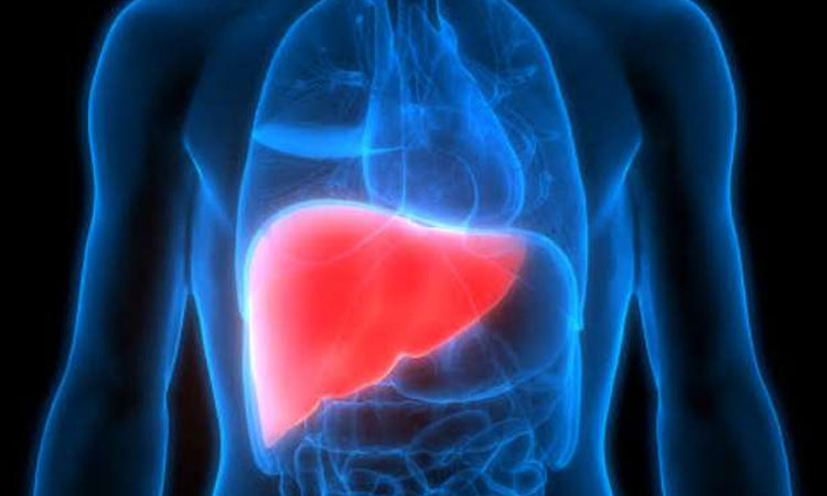 Fatty Liver Disease Signs | even non alcoholic people can suffer from fatty liver disease do not ignore these signs