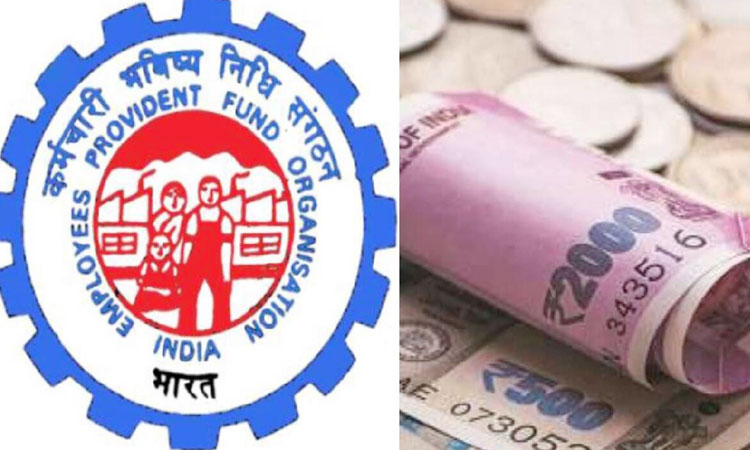 EPFO | if pf interest has not come in your account yet then you can check like this learn step by step method