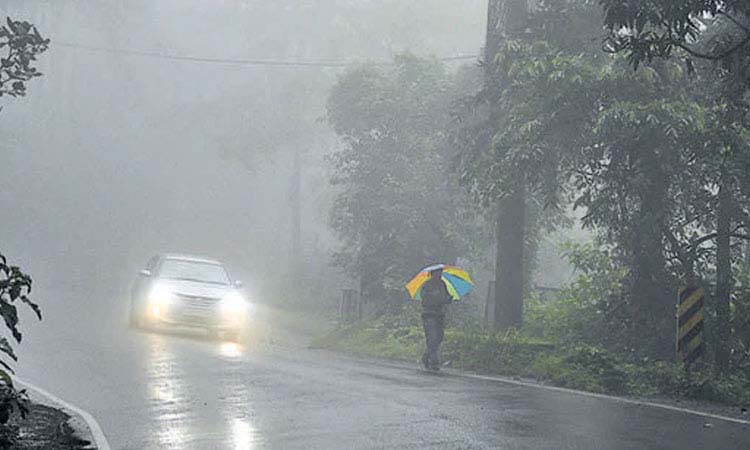 Maharashtra Rains | northeast monsoon active in south india maharashtra also hit with heavy rainfall imd alerts IMD issues Yellow Alert to 7 districts including Pune