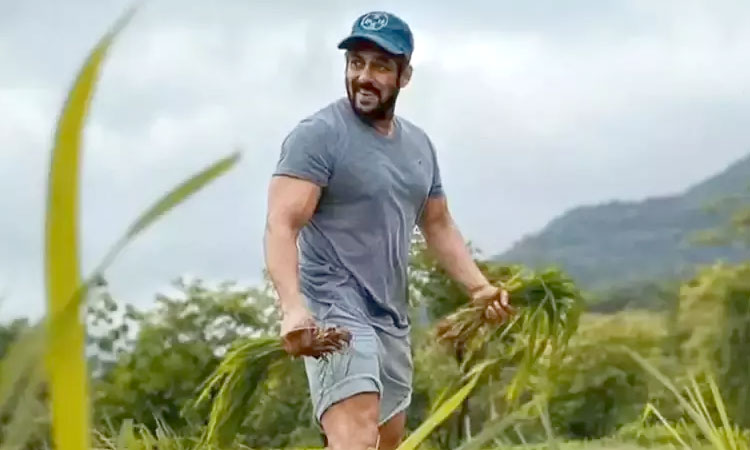 Salman Khan | bollywood actor salman khan bitten by a snake at panvel farm house