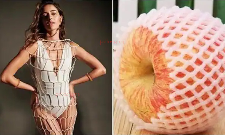 Ananya Panday Bold Photo | ananya panday trolled herself on instagram while comparing her self with an apple
