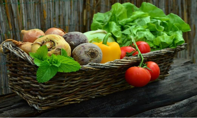Diabetes-High Blood Sugar Level | diabetes patients can add these vegetables in diet to control high blood sugar level blood sugar normal range