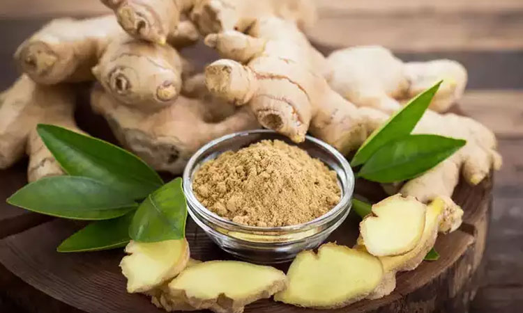 Benefits of Ginger | benefits of ginger adrak che fayde ayurveda importance