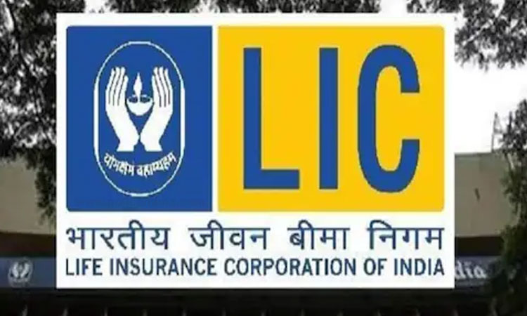 LIC Policy | lic policy holders link your pan with lic policies check all details
