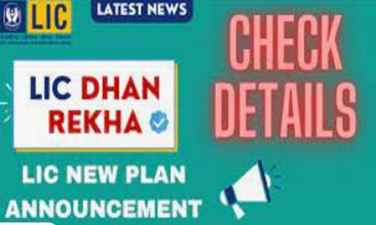 LIC Dhan Rekha Plan | lic brought new dhan rekha plan know what are the features of this money back plan