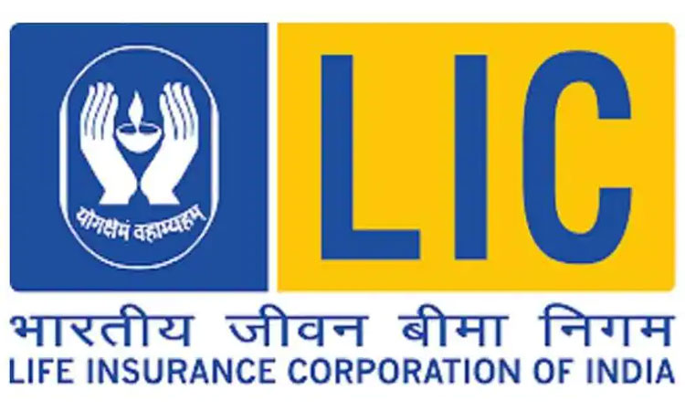 LIC policyholders IPO | consumer news how lic policyholders can update their pan to participate in india biggest ipo