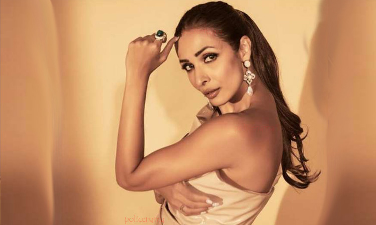 Malaika Arora | malaika arora trolled brutally for her latest bold photo hero hairstyle surprise fans photo and fans reaction goes viral on social media
