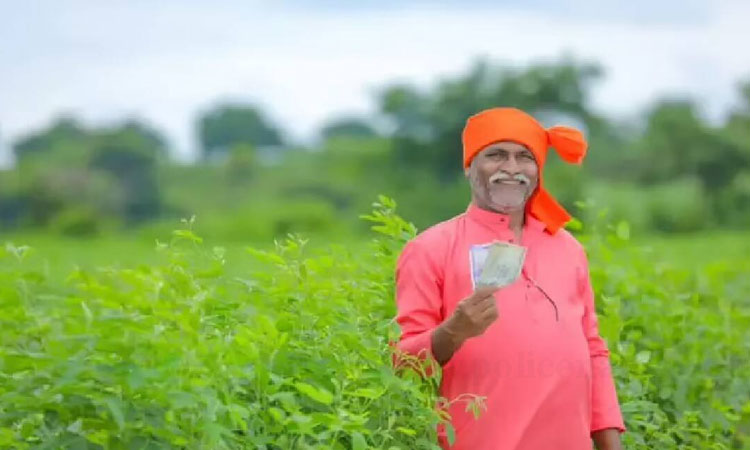 PM Kisan Scheme | pm kisan yojana 4000 rupees can come in the account of these farmers on the new year know who eligible