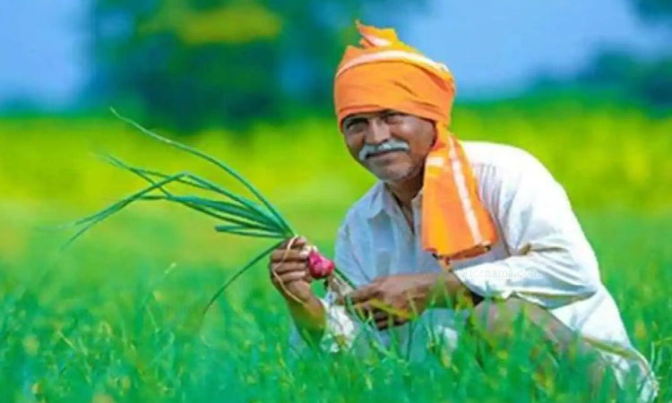 PM Kisan | eagerly waiting for the installment of pm kisan yojana if these words are written in your status then soon 2000 rupees will come in your account