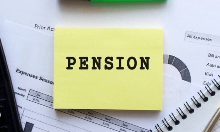 Government Pension Schemes | if you have invested in these government pension schemes there will be no tension after retirement