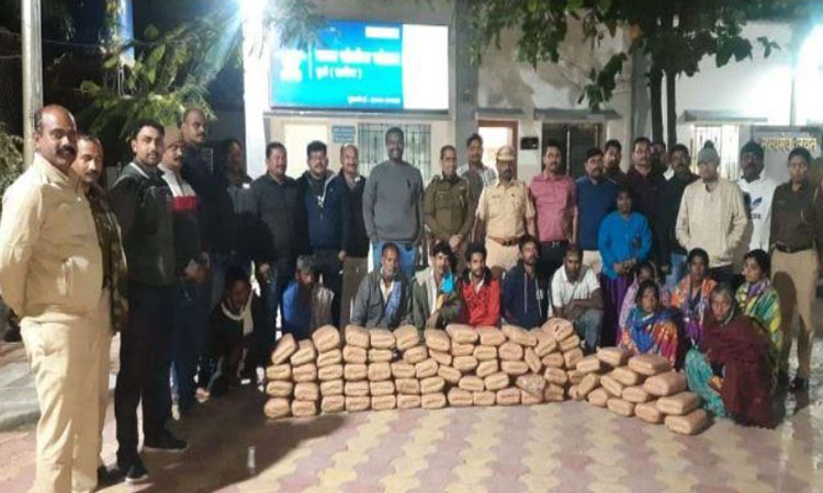 Pune Crime | Big action of Pune Rural Police ! Yavat police seize 50 lakh cannabis from Patas area; 7 men and 5 women arrested