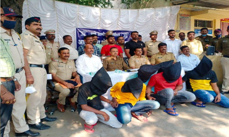 Pune Crime | A gang of 6 people who robbed an electronics shop from alephata has been arrested by pune rural police