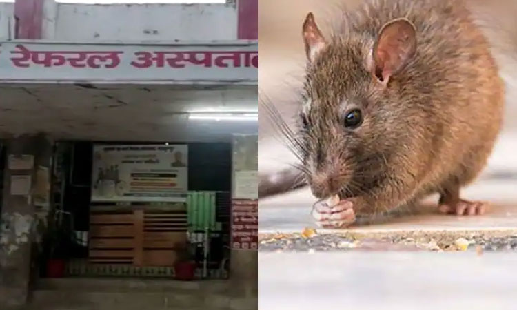 X-Ray | x ray machine worth lakhs destroyed by rats and ant in one hospital of jehanabad bihar