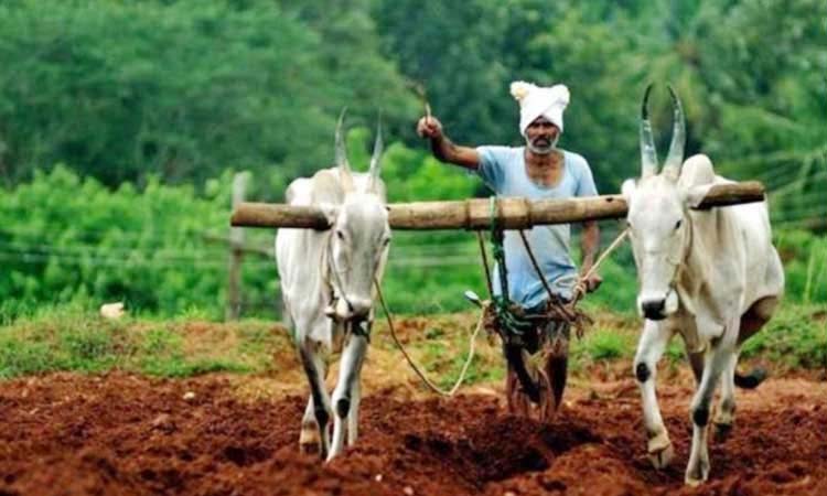 pm kisan tractor yojna | farmer get 50 percent subsidy under pm kisan tractor yojna know how