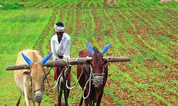 Modi Government | farmer get 50 percent subsidy under pm kisan tractor yojna know how