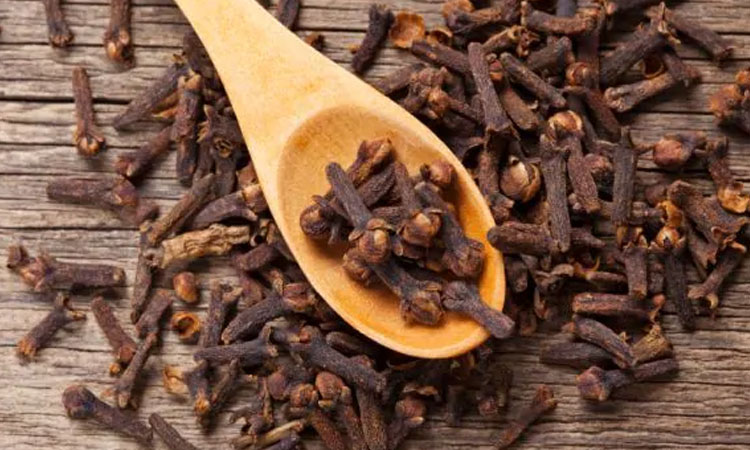 Health Benefits of Clove | health benefits of clove amazing benefits of eating or use of clove for digestion obesity and toothache