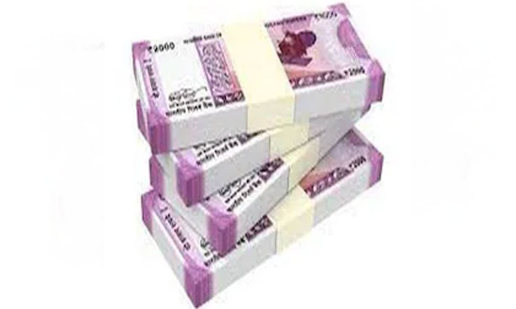 Earn Money | business idea start saffron farming and get 6 lakh per month