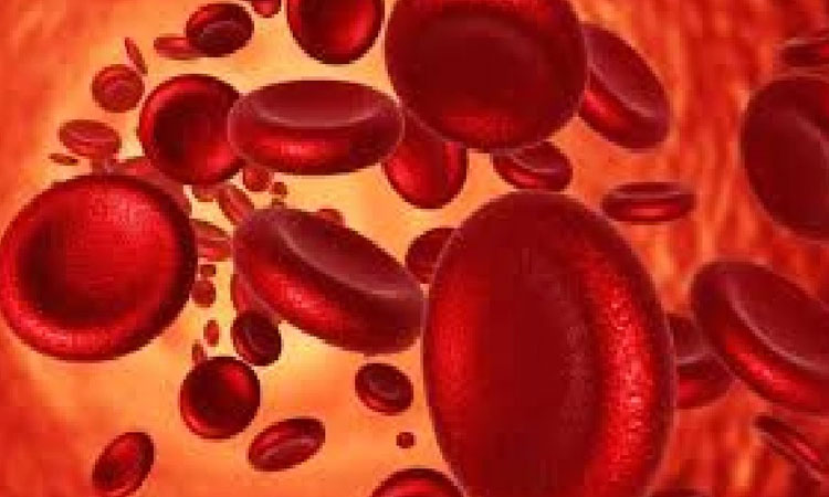 Low Haemoglobin Level | warning signs of low haemoglobin level anemia
