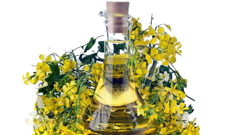 Benefits Of Mustard Oil | fantastic benefits of mustard oil