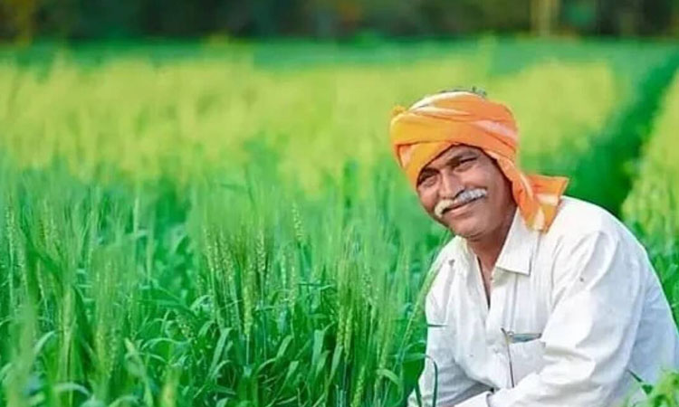 PM Kisan | farmers who take advantage of pm kisan scheme get loan on low interest know how can get benefit