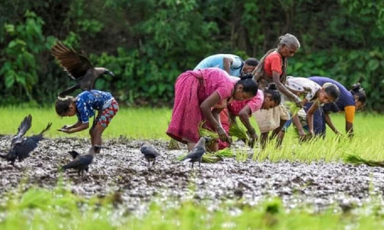 PM Kisan Yojana | pm kisan yojana 11th installment date update farmers to get 2000 rupees in month of april