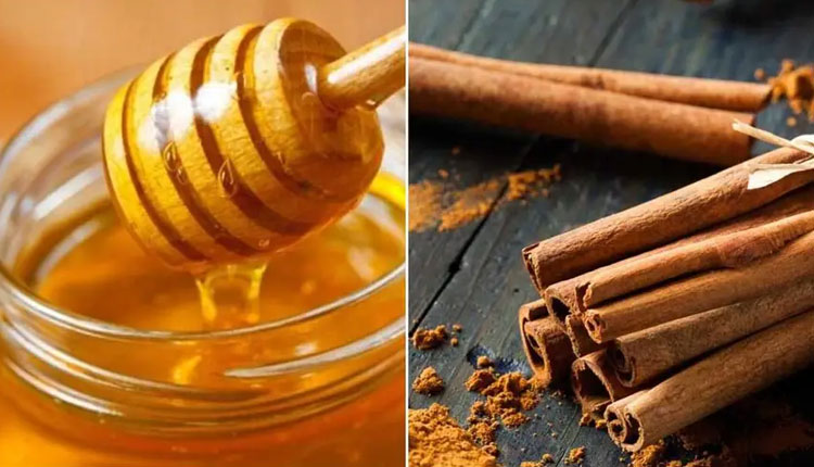 Cinnamon and Honey Benefits | cinnamon and honey benefits mixture of honey and cinnamon is very beneficial for health