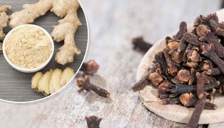 Benefits Of Dry Ginger With Clove | health benefits by consuming dry ginger and clove together and dry ginger with clove