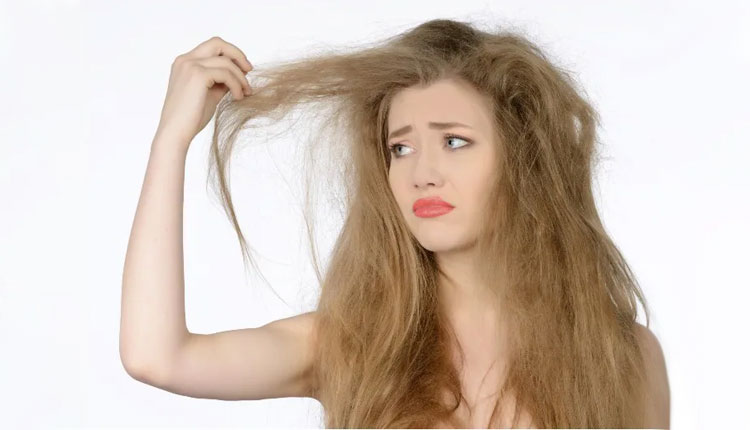 Hair Care Tips | how to protect hair from dryness and hair care tips