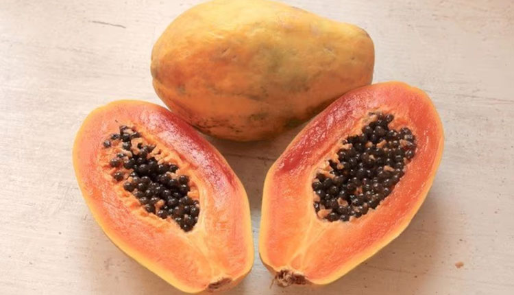 Benefits Of Papaya | benefits of papaya in marathi papaya good for diabetes cancer weight loss