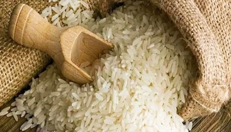 Rice Production Record production of rice in India Basmati rice prices goes high