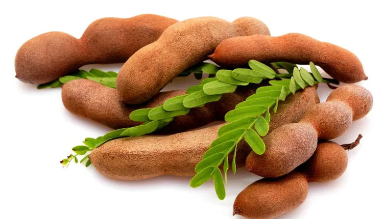 Benefits of Tamarind | tamarind is beneficial for health and benefits of tamarind